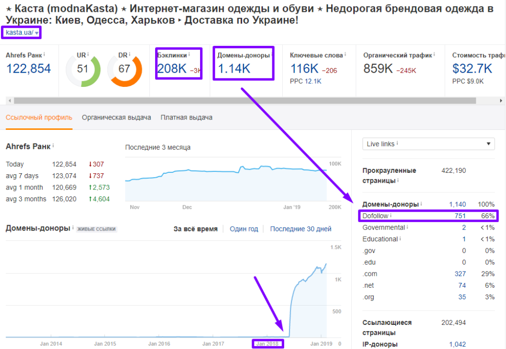 анализ топ-28 магазинов 213