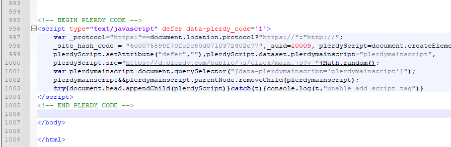 Процесс вставки кода отслеживания Plerdy в файл footer.php