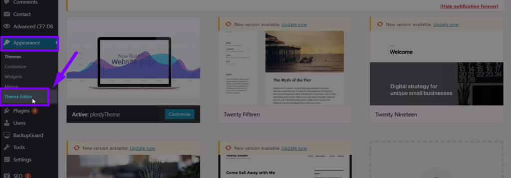 plerdy script installation wordpress 3