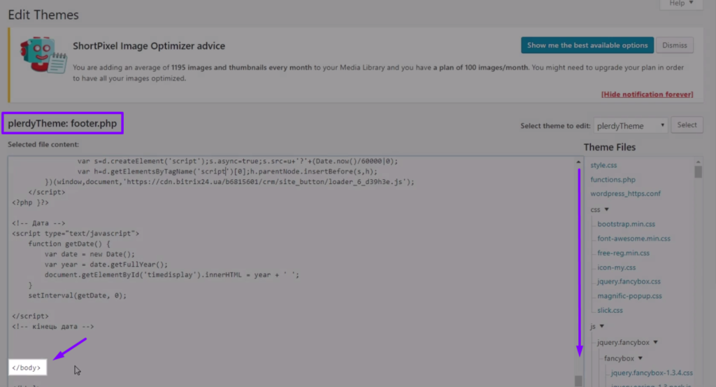 plerdy script installation wordpress 5