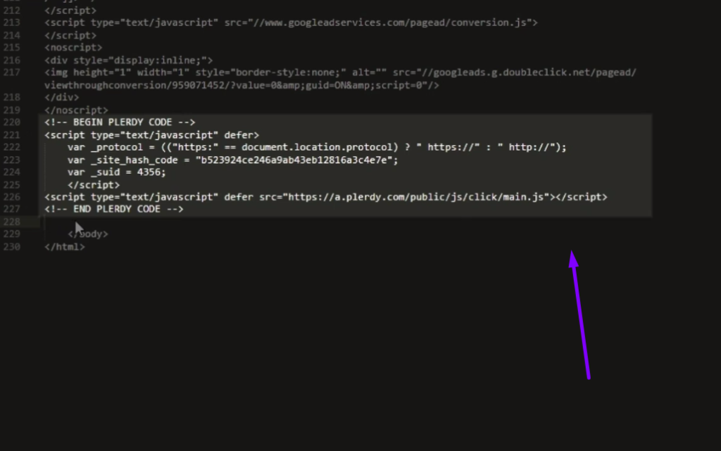 plerdy script installation FTP 5