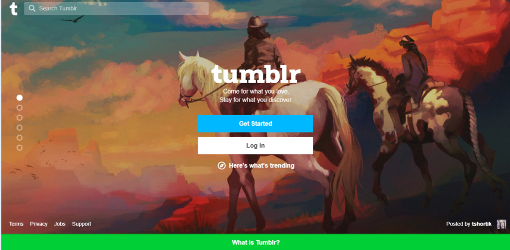How to make a Tumblr blog website – Plerdy