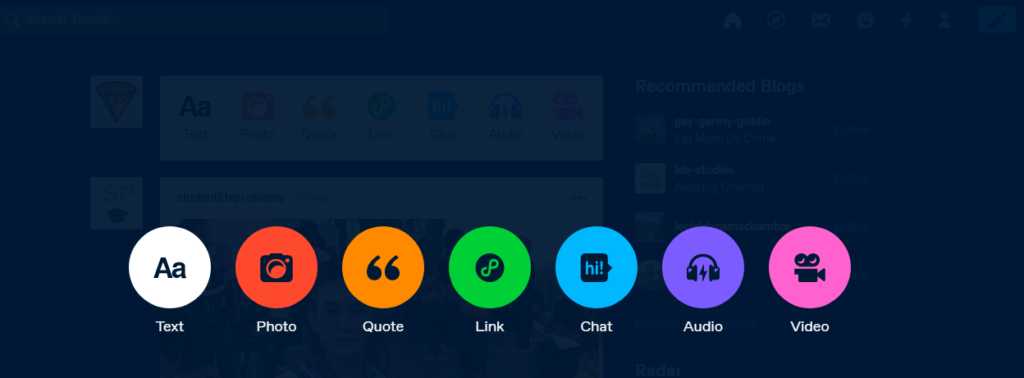 How to make a Tumblr blog website – Plerdy