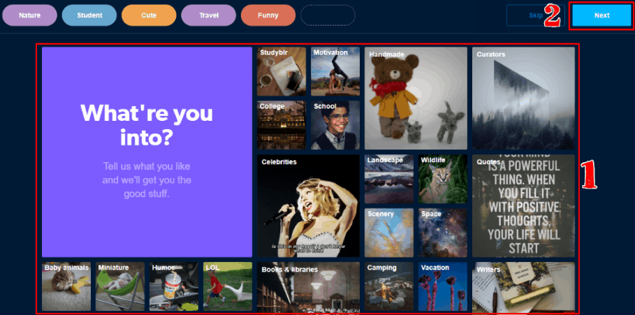 How to make a Tumblr blog website – Plerdy