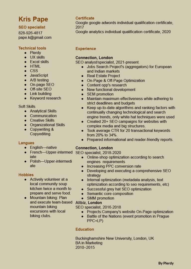 SEO Specialist Resume Examples - Seo Resume 768x1085 