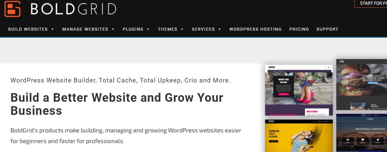 How to make a Tumblr blog website – Plerdy