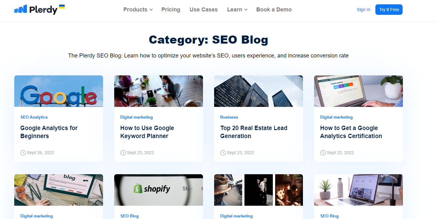 professional-seo-3