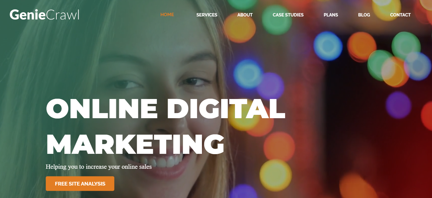 professional-seo-4