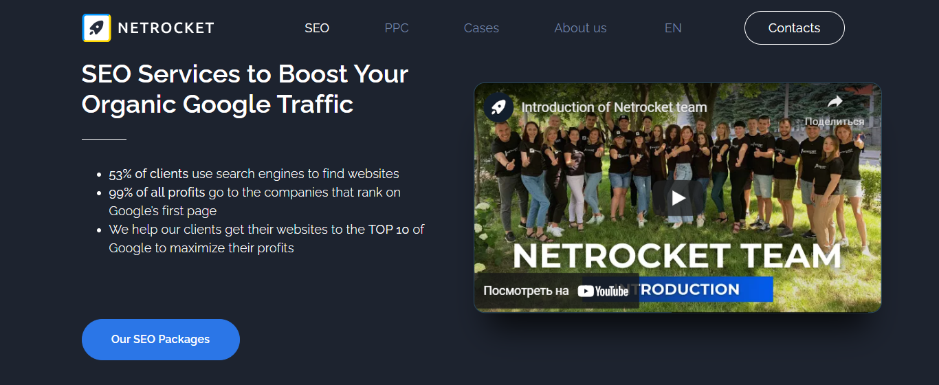 professional-seo-6