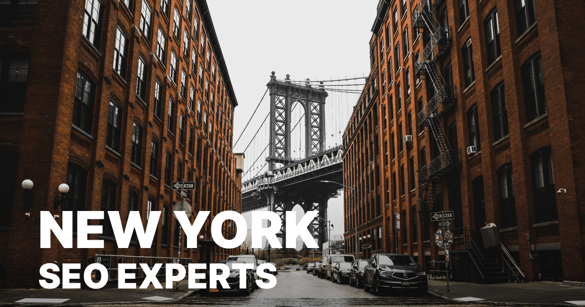 20 Best New York SEO Experts Plerdy(04)