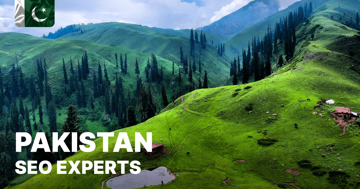 Best 19 SEO Experts in Pakistan – Plerdy
