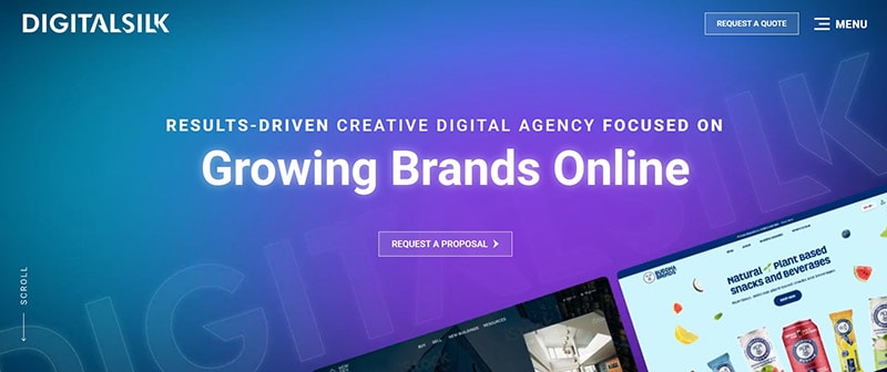 Top 20 eCommerce Web Design Companies 09