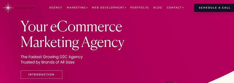 Top 20 eCommerce Web Design Companies 13