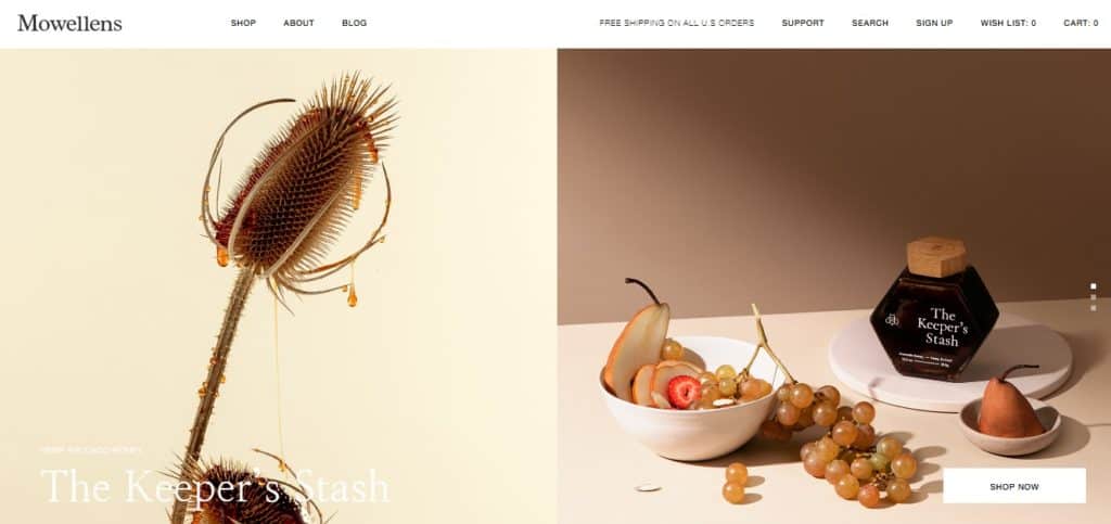 40+ Best eCommerce Website Design Examples in 2025 – Plerdy