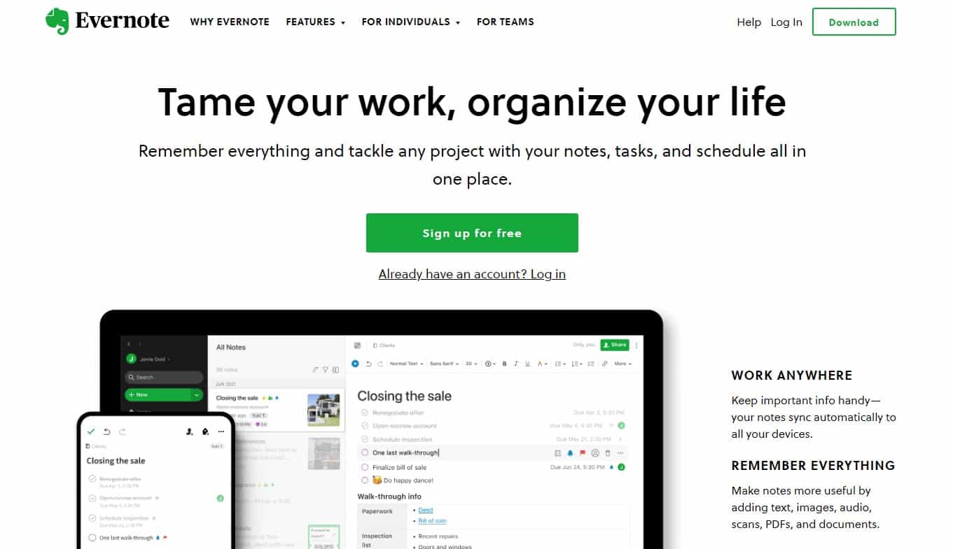SurferSEO Content Writing - Authority Magnet Co.