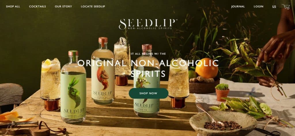 40+ Best eCommerce Website Design Examples in 2025 – Plerdy
