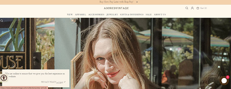 20 Best Shopify Stores to Inspire You 21