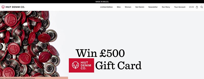 20 Best Shopify Stores to Inspire You 04