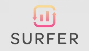 10 Best Surfer SEO Alternatives – 000