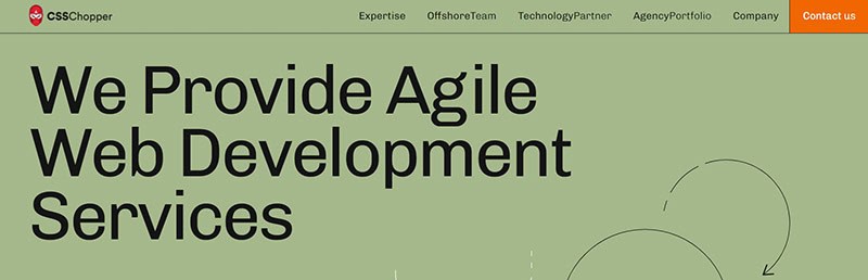 Top 15 eCommerce Development Companies 17