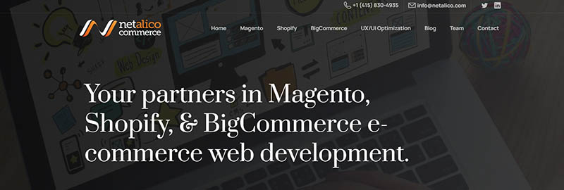 Top 15 eCommerce Development Companies 16