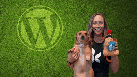 Best WordPress Plugins - 0022