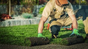 SEO for Landscapers A Definitive Guide