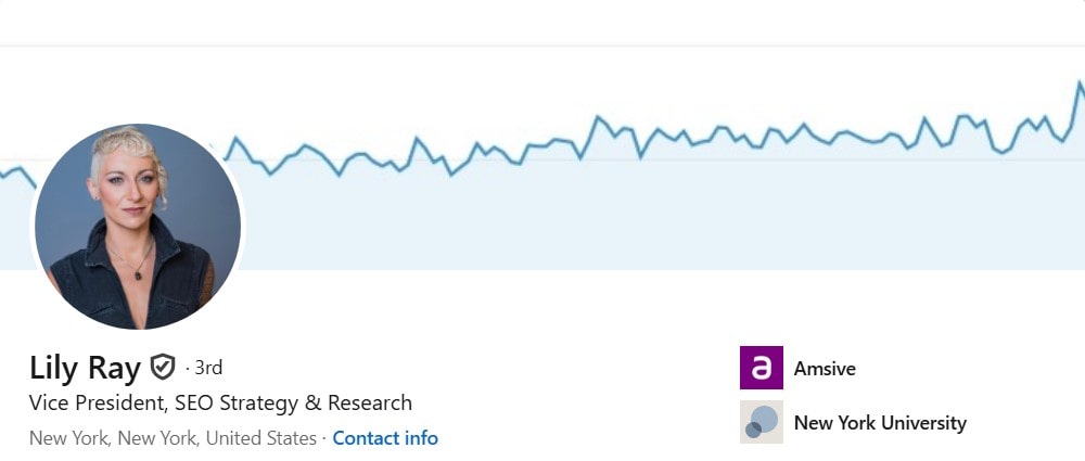 Principales expertos SEO - 0030