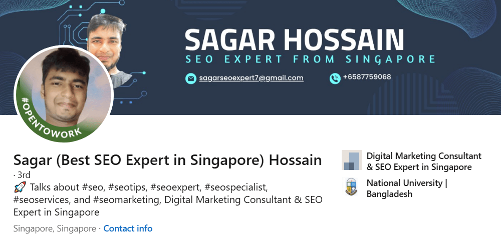 Best SEO Experts in Singapore - 0015