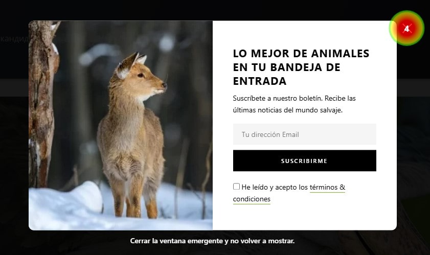 Heatmap Analytics: Practical Guide - 10004