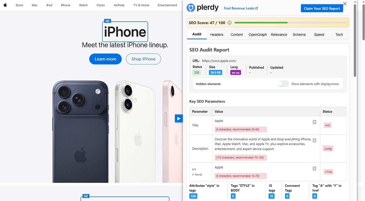 How To Use Plerdy SEO Analyzer - 0003