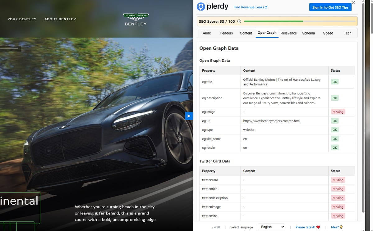 How To Use Plerdy SEO Analyzer - 0006
