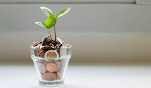 How Much Revenue Do Website Errors Cost You